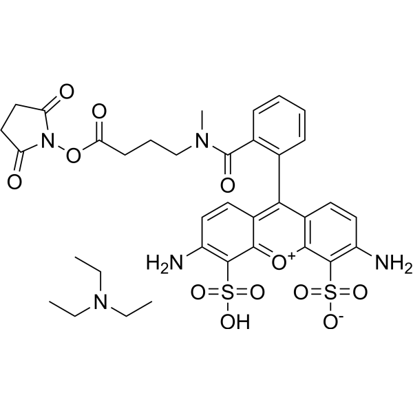 ATTO 488 NHS ester TEA